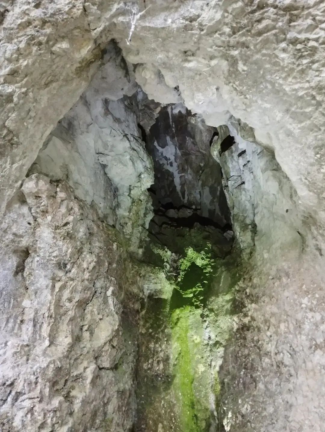 Val Suzon - grotte de Grande Combe numéro 2 - entrée cavité photo 3, Aurélien Bloch.jpg
Vue rapprochée.
Fichier manquant